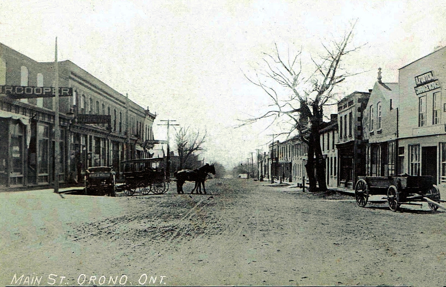 Orono Village Reminiscences